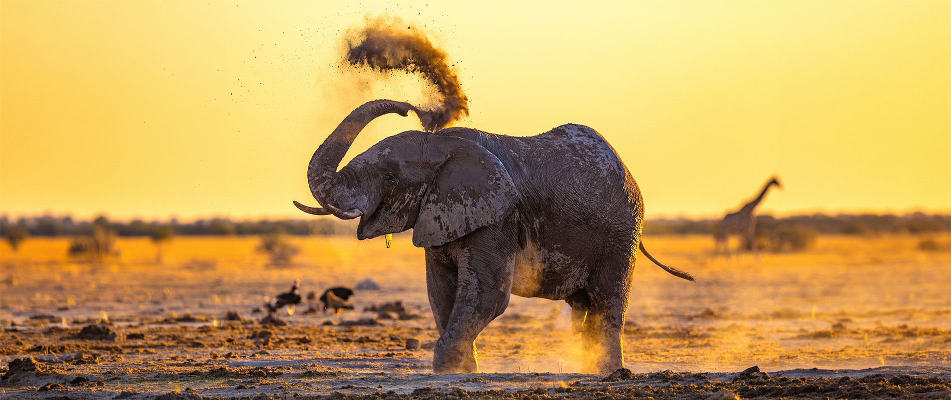 slider-2027-01-03-namibia-01