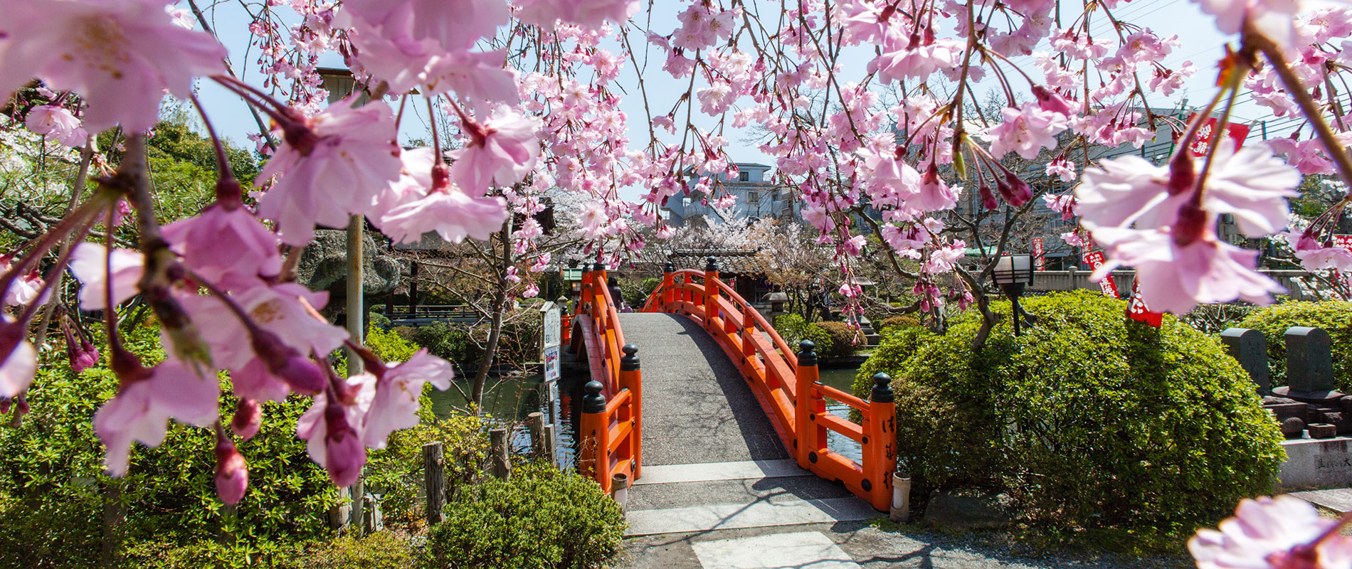slider-2027-02-19-japan-04